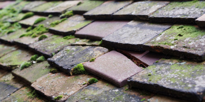 Isleham roof repair costs